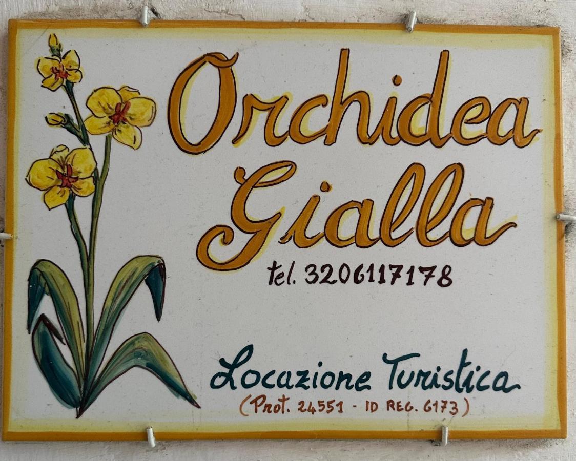 Orchidea Gialla Gaeta Eksteriør bilde
